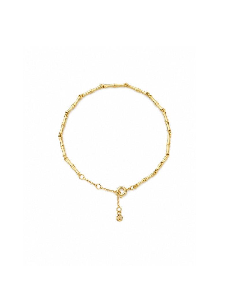 Rising Bamboo Bracelet — premium bracelet by TEASES